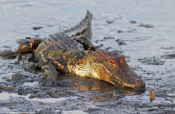 The Brave Babes Battle Bus - Getting Ready For The Golden Sights Of Autumn In Search Of Sobriety.