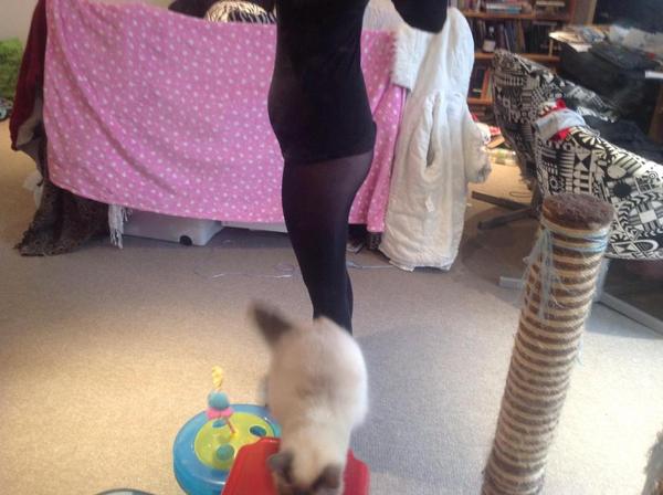 March Mummies 2015 - to second tri and beyond we go, bumps appearing and sickness (hopefully) disappearing