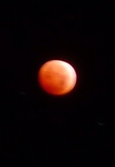 To think the "blood moon" wasn't very bloody?