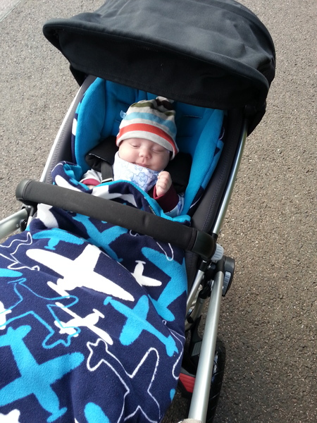 The Truth about Um Bongo, Broken Penises and Sad Fleas - it's all here, just don't talk about the Elephant in the Womb! Pee on Nigel Farage (or in a Thermos), and Join the Bonkers Bonkers for JS 30!