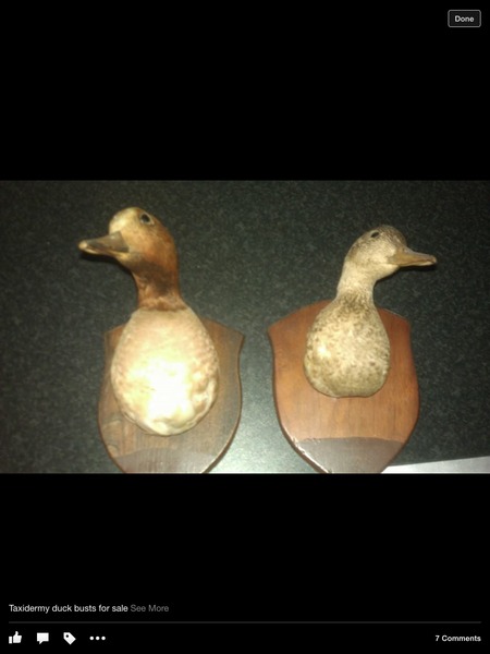 Stupid Facebook selling.