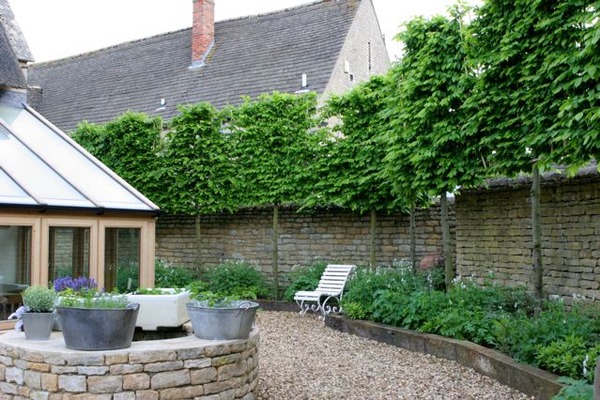 Narrow strip behind garden. Landscaping advice needed