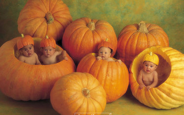 Pregoween is approaching! Time to grow our beans into Pumpkins - all aboard for spooky bfps!