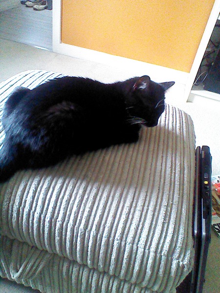 Break the bed, marvel at the ghost sperm, ignore the fuss about avatar pandas and whatever you do - don't eat the jizz! It's Just Shagging Part 28