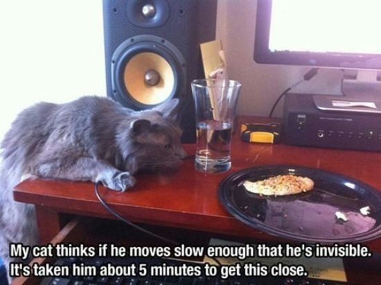 Jizz in your eyes, raining out of your arse or just feeling boggin? Come and join the JSers for fun and frolics! And some of them drooling over Ian McShane, whoever he may be! It's Just Shagging 29!!