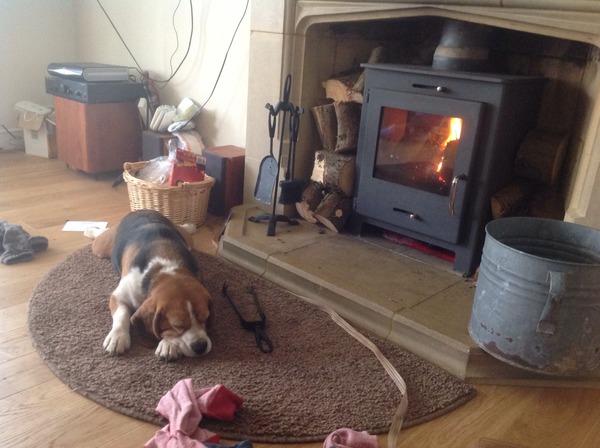 Time for another rescue hound - but now we've got kids, the chances we'll get one are low!
