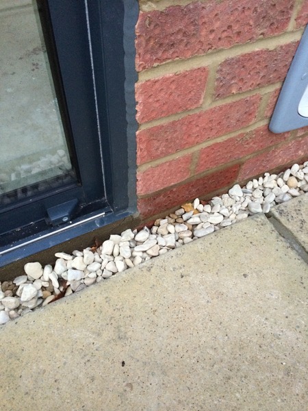 Advice needed from a builder!