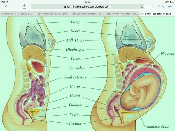 February 2015 #4 - Scans, glows, and shopping galore!