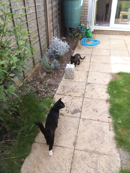 Break the bed, marvel at the ghost sperm, ignore the fuss about avatar pandas and whatever you do - don't eat the jizz! It's Just Shagging Part 28