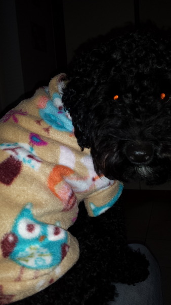 So, I bought the John Lewis sewing machine...