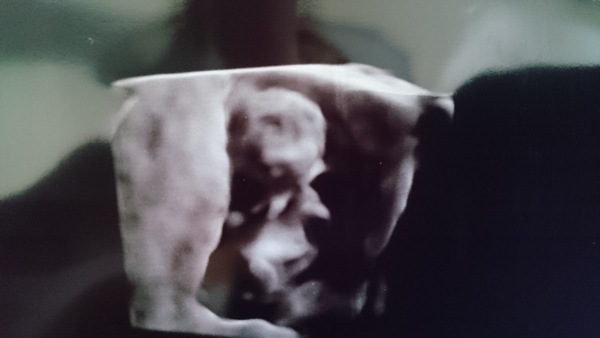 Tiptoeing into the Second Trimester... Due April 2015