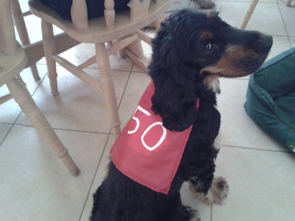 Bar codes at the ready, parkrunners anonymous keep going 5K at a time