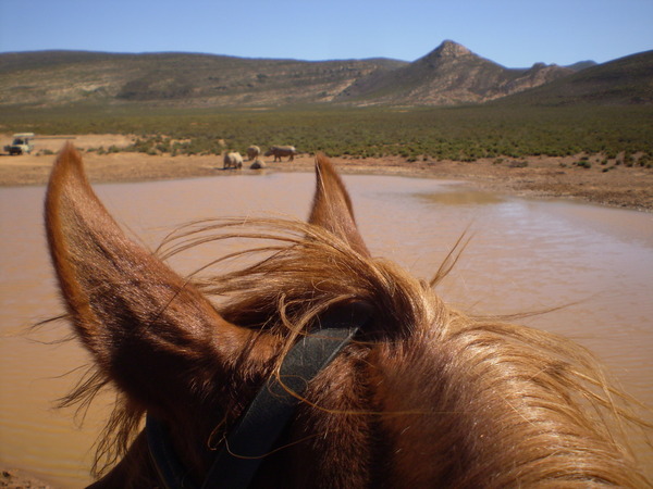 Picture from my hack today.