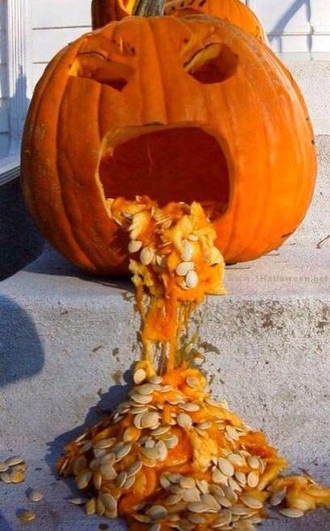 Robbieeeee! It's meee, it's Jessieeee! I've come home. I'm so cold! Let me in-a-your window. The Archers pay homage to Wuthering Heights?