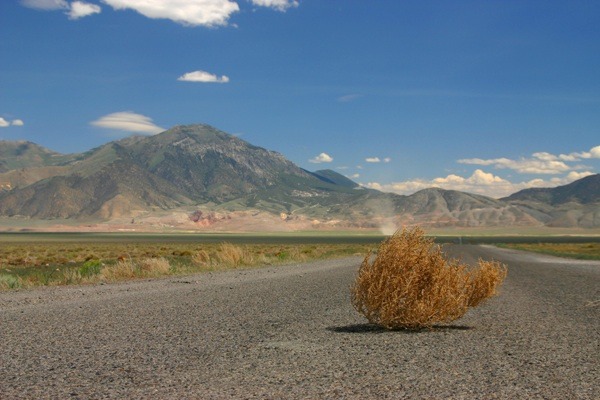 To ask you for your tumbleweed moments