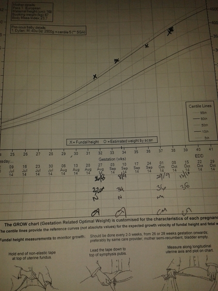 Help with Antenatal GROW Chart Please!