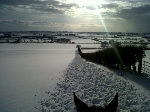Picture from my hack today.