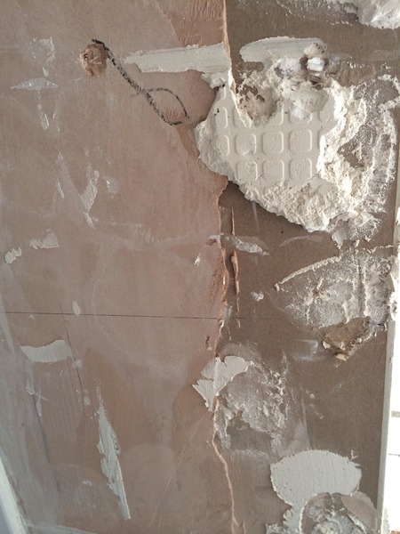 Does this need filler or plaster? (Piglet John or any others advice?)