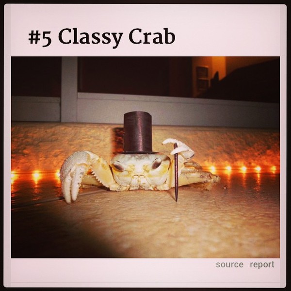 The Brave Babes Battle Bus - Getting Ready For The Golden Sights Of Autumn In Search Of Sobriety.