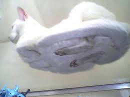 To think glass topped tables are a wee bit urgh?