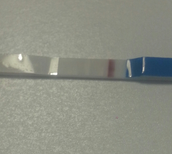 Please help. What do you think about these pregnancy tests?