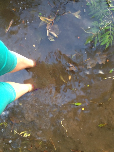 Runners thread number 7