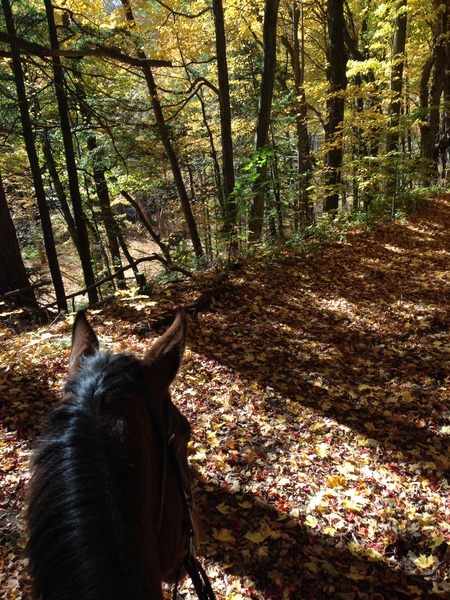Picture from my hack today.