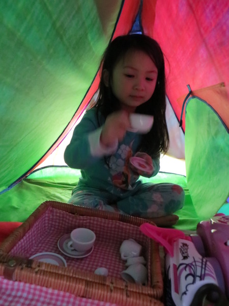 Philips and Disney Imaginative Lighting would love to see your photos of and tips for den building - £100 Amazon voucher to be won NOW CLOSED