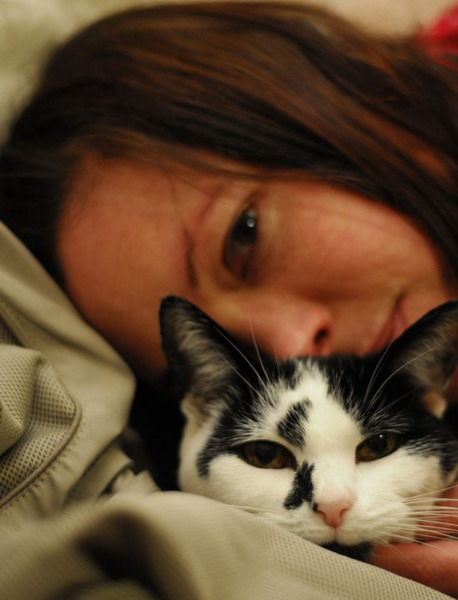 Tell me about cat fostering