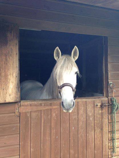 Break the bed, marvel at the ghost sperm, ignore the fuss about avatar pandas and whatever you do - don't eat the jizz! It's Just Shagging Part 28