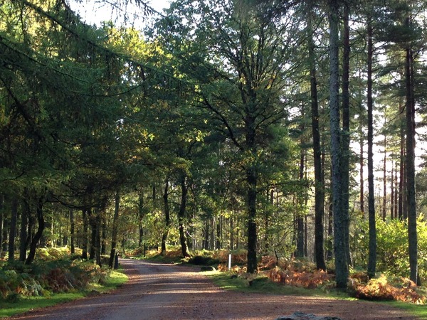 Runners thread number 7