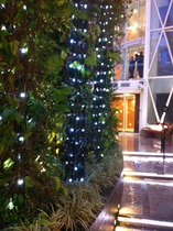 Royal Caribbean - Oasis of the Seas event day feedback thread: find out how the non cruisers got on onboard! NOW CLOSED