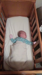 The 'Umm newbie'/ 'Thread maxed out' lovely ladies!