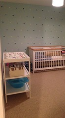 The shiny new Pregnant after MC due December 2014 thread #2