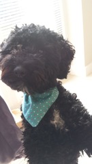 So, I bought the John Lewis sewing machine...