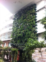 Royal Caribbean - Oasis of the Seas event day feedback thread: find out how the non cruisers got on onboard! NOW CLOSED