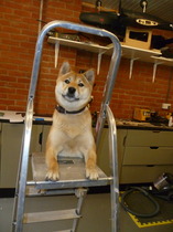 Pre-Christmas Low Carb Bootcamp Starts Here!