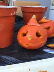 Who wants to see my Halloween decorations?