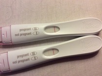 Old bird graduates, gather round....let's talk chicklets!