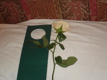 To think this hotel policy is rather odd!