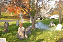 To love Halloween?