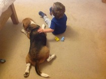Time for another rescue hound - but now we've got kids, the chances we'll get one are low!