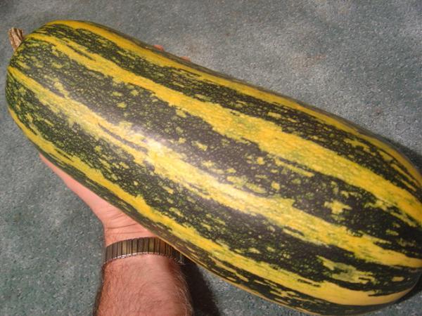 What meal made your heart sink as a child