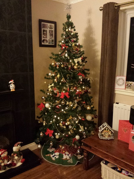 Help!!!! Decorations ruined!!!!!!!!!