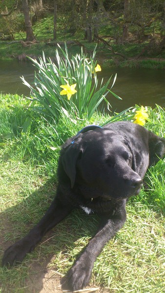 The Brave Babes Battle Bus - Kicking The Wicked Wine Witch Where It Hurts! Mwahahahahahahaha!