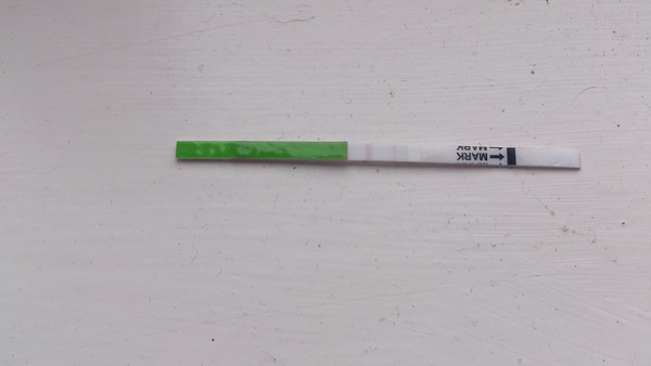 For anyone TTC or thinking about TTC with Soy Isoflavones