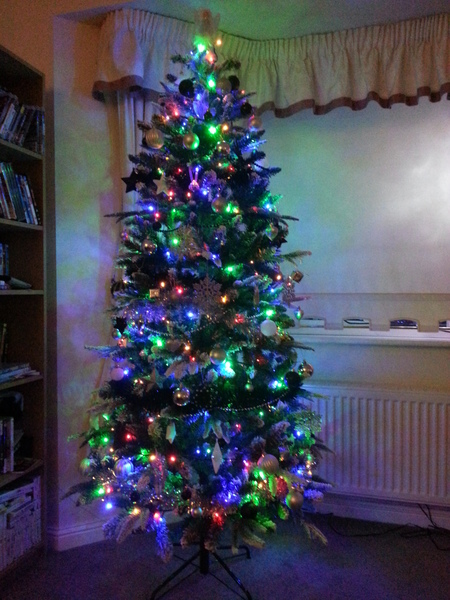 Multcoloured or White lights on Christmas tree?