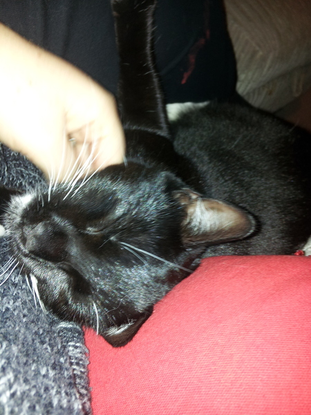 The home of sporn lovers and cunthawks; make sure the ewcm is coming from the right hole and don your capes (but don't put parsley up your chuff!) ... for JUST SHAGGING Part 33