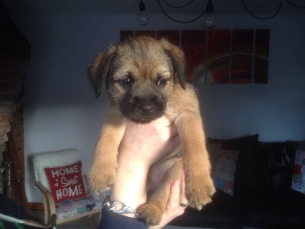 He's coming home!!!! HELP!