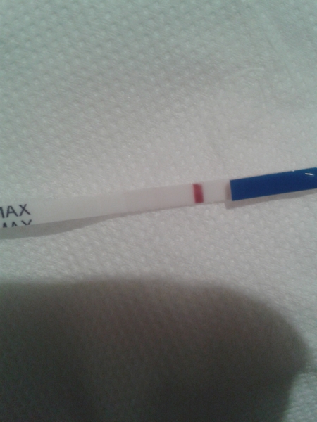 Is this an evap line?? :s I hope not!!